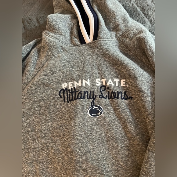 Penn State Champion Hoodie Size M - Picture 5 of 5